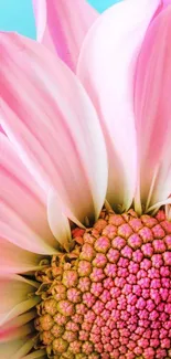 Close-up of a vibrant pink flower with soft petals and detailed texture.