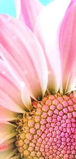 Close-up of a vibrant pink flower with a serene blue backdrop.