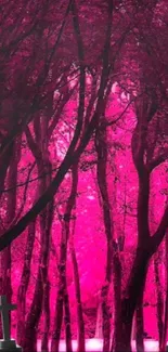 Mysterious pink forest with trees and crosses.