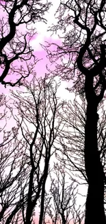 Silhouetted trees against a pink sky, vibrant wallpaper.