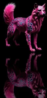 Vibrant pink fox with artistic design on a black background.