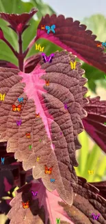 Close-up of vibrant pink leaf with green background.