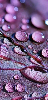 Close-up of a pink leaf with water droplets.