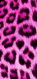 Vibrant pink leopard print patterned wallpaper.