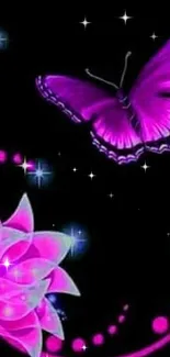 Pink lotus flowers and butterfly on a dark background.