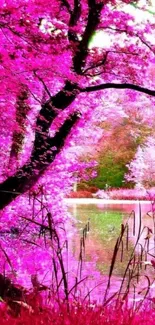 Pink forest landscape with vibrant colors.