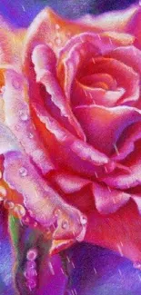 Vibrant pink rose with droplets on purple background.