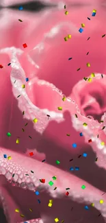 Close-up of pink rose with multicolor confetti, perfect for a vibrant phone wallpaper.