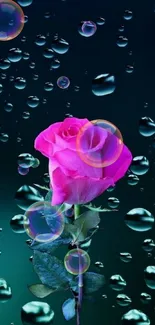 Mobile wallpaper of pink rose with water droplets.