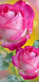 Two vibrant pink roses with green leaves and bokeh background.