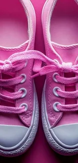 Close-up of vibrant pink sneakers on display.