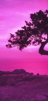 Lone tree silhouette against vibrant pink sunset sky.