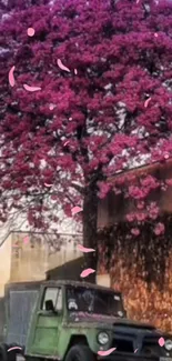 Vibrant pink tree with rustic vehicle beside.