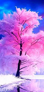 Pink tree against a bright blue sky with reflection on calm water.