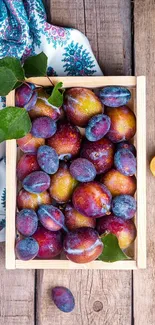 A wooden crate filled with colorful plums on a rustic wooden surface.