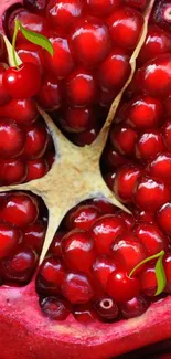 Close-up of pomegranate seeds with cherries on top.