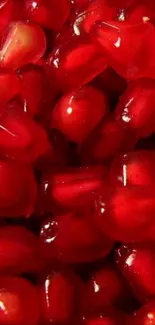 Close-up of vibrant red pomegranate seeds.