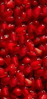 Close-up of vibrant red pomegranate seeds.