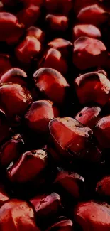 Vibrant close-up of pomegranate seeds showing deep red color tones.