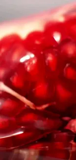 Vibrant pomegranate seeds close-up wallpaper.