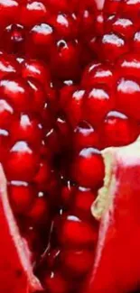 Close-up of juicy red pomegranate seeds bursting with vibrant color.