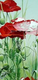 Red and white poppies with green stems in watercolor design.