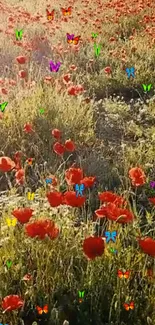 Vibrant poppy field with colorful butterflies in a sunny meadow.