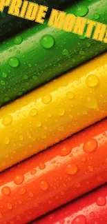 Vibrant pride month rainbow wallpaper with colorful droplets on green background.