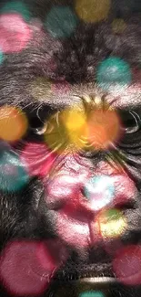 Gorilla face with colorful bokeh effects as mobile wallpaper.