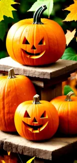 Orange pumpkins on a wooden stand with colorful autumn leaves.