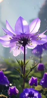 Purple blossom with dewdrops in a serene natural setting.