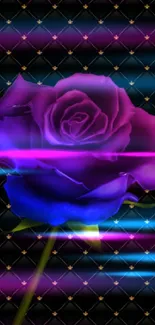 Vibrant purple and blue rose on a black tufted background.