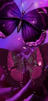 Purple butterfly art with vibrant colors on a floral background.