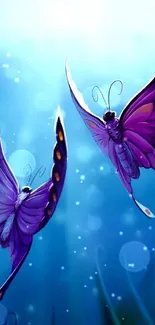 Purple butterflies on a serene blue background.