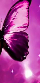 Close-up of a purple butterfly on a vibrant background.