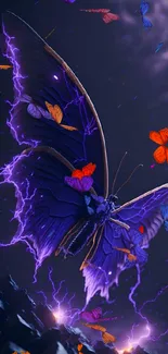 Purple butterfly with electric accents on a dark background.