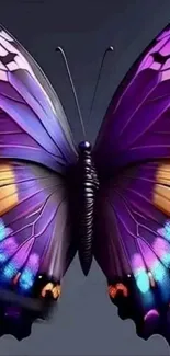 Vibrant purple butterfly with detailed wings art.