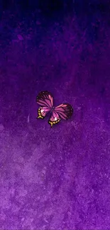 Purple butterfly on textured purple background wallpaper.