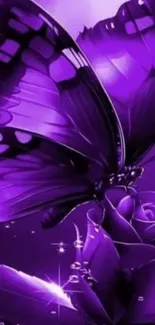 Purple butterfly illustration with rose.