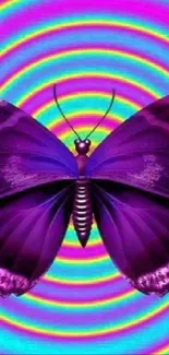 Vibrant purple butterfly on rainbow spiral background.