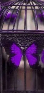 Purple butterflies on a cage, vibrant mobile wallpaper.