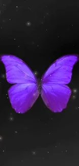 Purple butterfly on starry black background, elegant mobile wallpaper.