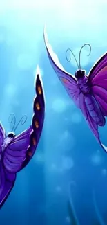 Two vibrant purple butterflies on blue.