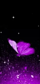 Purple butterfly with sparkling effects on black background wallpaper.