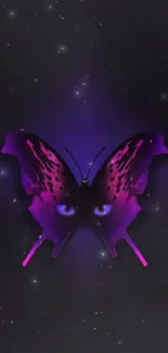 Neon purple butterfly on dark background wallpaper.