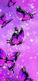 Purple butterflies wallpaper with sparkles.