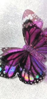 Vibrant purple butterfly with glittering wings on soft background.