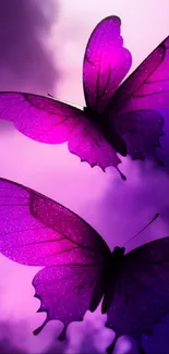 Purple butterflies with ethereal clouds background.