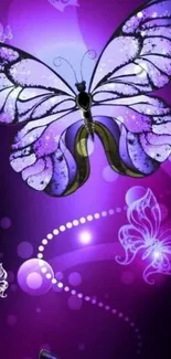 Purple butterfly wallpaper for mobile phones with vibrant design.