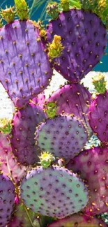 Vibrant artistic wallpaper featuring a purple cactus in the desert sun.